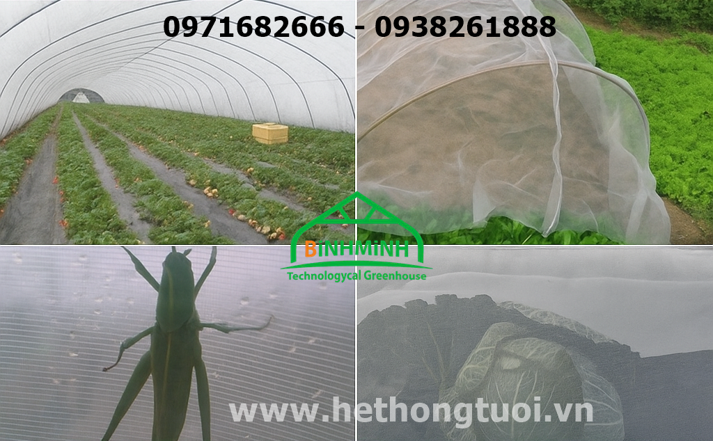 Lưới Chắn Côn Trùng